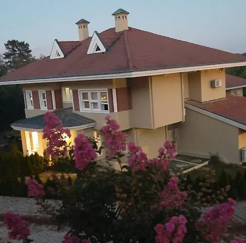 Synosse Park * Hüseyinli